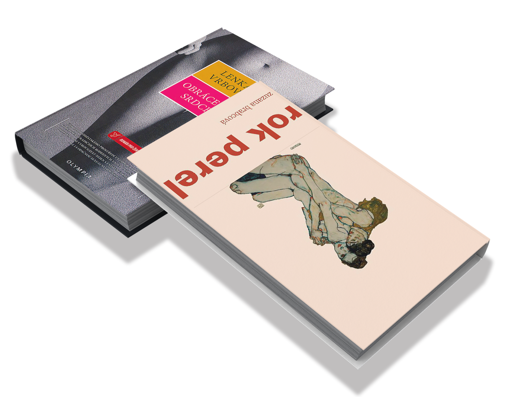 Ilustrace knih s lesbickou tématikou